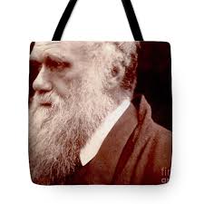 Darwin Tote Bags for Sale by Bridgeman Images