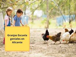We did not find results for: Top 6 Granjas Escuela Geniales En Alicante