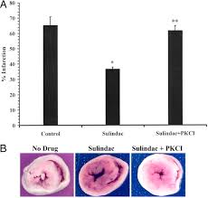 Image result for Sulindac