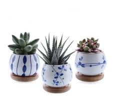 Blue European Flower Pot Onyx Better Homes Ceramic Succulent Pots Ceramic Plant Pots Small Cactus Plants