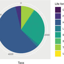 Image result for Isoglossa pawekiae