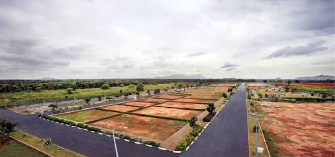 Land and Plots