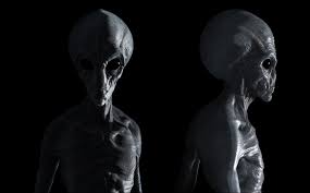 Artstation Grey Alien 3d Model Jack Nesbit Grey Alien Grey Artwork Alien Concept Art