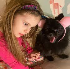 Julia Dennison (@juliadennison) • Instagram photos and videos