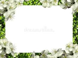 Browse 2,704 flowers transparent background stock photos and images available, or search for flowers white background to find more great stock photos and pictures. 28 295 Flowers Transparent Background Photos Free Royalty Free Stock Photos From Dreamstime