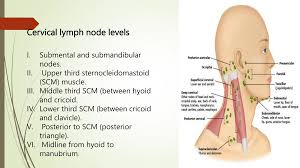 Image result for Neck Exam