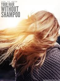 Focus the application at your roots and. How To Wash Your Hair Without Shampoo No Greasy Hair