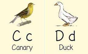 Birds That Start With A Vowel Alphabet Flashcards Manuscript Print Font Vintage Bird I Alphabet Flashcards Homeschool Printables Flashcards