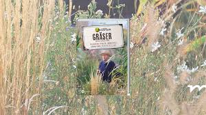 Gräser für den garten winterhart. Graser Im Garten Welches Gras Fur Welchen Standort Mdr De