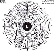 What Is Iridology Needbalance