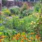 Garden Workshops: Planning your Veg Garden event image