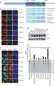 Ron rivera appeared on a podcast this week with chris collinsworth and talked about the struggles he had during the 2020 season. Impaired Hydroxylation Of 5 Methylcytosine In Myeloid Cancers With Mutant Tet2 Nature