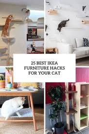 We did not find results for: 25 Best Ikea Furniture Hacks For Your Cat Shelterness