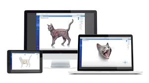 Greeley, fort collins and cheyenne. Diagnostic Imaging Atlas Dia Patterson Veterinary