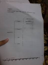 4 contoh paragraf deskripsi tentang lingkungan dalam bahasa indonesia. Buatlah Kerangka Bagian Yang Akan Dideskripsikan Buatlah Seperti Contoh Sekolah Brainly Co Id