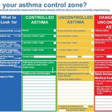 Peak Flow Meter Chart Child Peak Flow Chart Children Peak