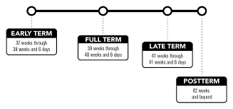 A week is a period of 7 days. Know Your Terms Moms To Be Ncmhep Nichd Eunice Kennedy Shriver National Institute Of Child Health And Human Development