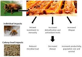 Ultrasonic electronic pest and insect this is generally true, at least for the otherwise healthy human population, but like with most things in infectious diseases, there are. Insects Free Full Text Propolis Counteracts Some Threats To Honey Bee Health Html