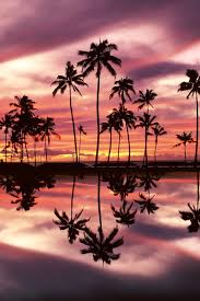 Sunset Over Ala Moana Beach Park Honolulu Oahu Hawaii Wallpaper 640x960 409 Jpg 640 960 Pixels Honolulu Beach Nature Ala Moana Beach