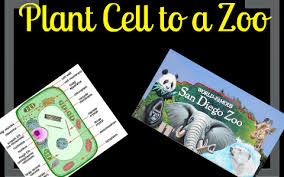 Maybe you would like to learn more about one of these? Plant Cell Analogy To A Zoo By Maddie Mcclure