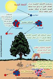 بحث عن التلوث في الانظمة البيئية مقال كامل عن التلوث في الانظمه البيئيه