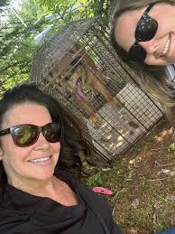 Rescue of a Swan in Richmond, Indiana