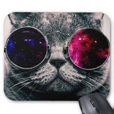 Lalu kenapa sih gambarnya harus keren? Sunglasses Cat Mouse Pad Zazzle Com Seni Kucing Kucing Wallpaper Iphone