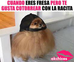 Pin En Fotos De Risa