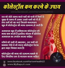 क ल स ट र ल कम करन क 13 घर ल उप य Cholesterol Kam Kaise Kare Cholesterol Health Tips Health