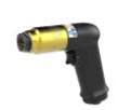 P33N Precision Drills Modular Pistol