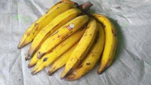 Pisang yang bisa digoreng adalah pisang dengan tekstur padat dan agak keras sehingga tidak mudah hancur ketika digoreng. Kenali 8 Jenis Pisang Dan Olahannya Yang Cocok Yuk