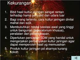 Teknik kultur jaringan merupakan alternatif perbanyakan tanaman jabon yang sangat efektif menghasilkan bibit berkualitas dalam jumlah banyak dengan waktu relatif singkat. Ppt Kultur Jaringan Powerpoint Presentation Free Download Id 380221