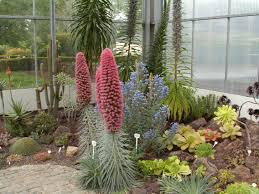 Der botanische garten der stadt krefeld, dessen entwicklung bereits im jahre 1928 begann, beherbergt inzwischen rund 5.000 pflanzenarten. Botanischer Garten Krefeld Wikipedia