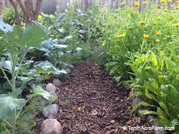 To create a bag garden, layer the desired garden area with cardboard sheets or newspapers. Transitioning To A No Till Garden Tenth Acre Farm
