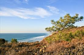 Torrey pines park, torrey pines state park. Torrey Pines State Natural Reserve By Fotopedia Editorial Team Torrey Pines State Reserve State Parks Torrey Pines