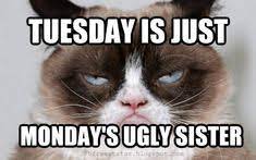 Or maybe because deep down, you truly enjoy what you do despite the many late nights, and grumpy customers. Funny Tuesday Quotes To Be Happy On Tuesday Morning Morning Quotes Funny Tuesday Quotes Funny Happy Tuesday Quotes