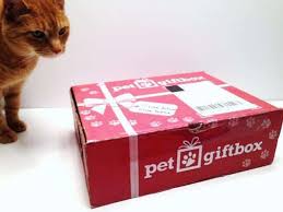 Prime members enjoy free delivery and exclusive access to music, movies, tv shows. 12 Best Monthly Cat Subscription Boxes Urban Tastebud