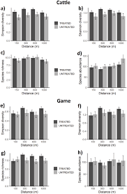 Image result for Megaloprotachne albescens