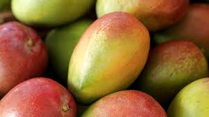Welche früchte werden gelb, wenn sie reif sind, außer bananen, mango und papaya? Mango Alles Rund Um Die Susse Gotterfrucht Kochbar De