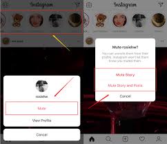 Now tap the menu (three lines) at the top right and then settings. How To Mute Unmute Someone S Posts Stories On Instagram