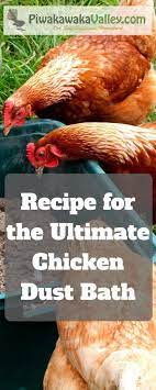 Ultimate Chicken Dust Bath Recipe 3 Powerful Additions Your Chickens Will Love Chicken Feed Dust Bath Chicken Bath