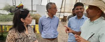 Good place for all variates of flowers avaliable there with wholesale rates.sales people will response well towards customers. Black Tulip Flowers Archives Black Tulip Group