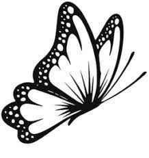 Download Butterfly Fly In Flower Jpg Image