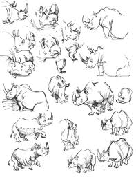 10 Inconceivable Drawing Animals In The Zoo Ideas Pencil Drawings Of Animals Cartoon Drawings Of Animals Animal Drawings