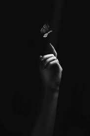 Black White Images Pin By Cassandra Colley On Best Of Black And White Photography Black White Photos Black And White Pictures Black And White Photography