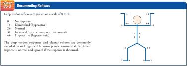 physical examination assessment the neurologic examination