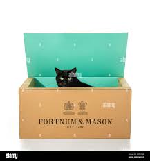 Fortnum e Mason, il famoso negozio di prodotti di lusso e alimentari a  Piccaddilly, Londra, Regno Unito. Vista esterna