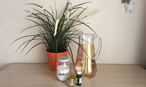 Video bu videomuzda sizlere evde doğal bir şekilde nasıl sağlam ağaç macunu yapılır onu göstereceğim ahşap macunu uygularken. Dogal Dis Macunu Nasil Yapilir Dogalyasamlar Com