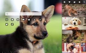 New and best 97,000 of desktop wallpapers, hd backgrounds for pc & mac, laptop, tablet, mobile phone category: My Dogs Hd Wallpaper Cute Dog Puppy New Tab