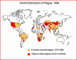 Invasion Biology Introduced Species Summary Project